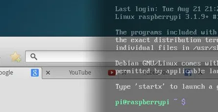 Autostart Midori Browser im Vollbild Modus (Kiosk Mode) via Konsole ohne Desktop